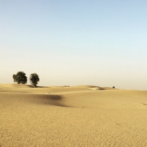 Desert. Aka sand, EVERYWHERE. 
